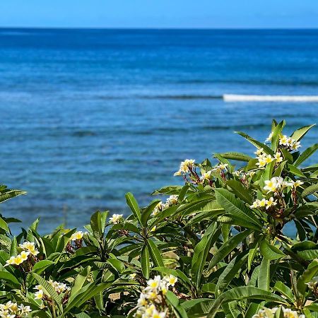 Le Petrel Bleu - Appartement Sur La Plage Des Tortues A Saint-Leu Kültér fotó