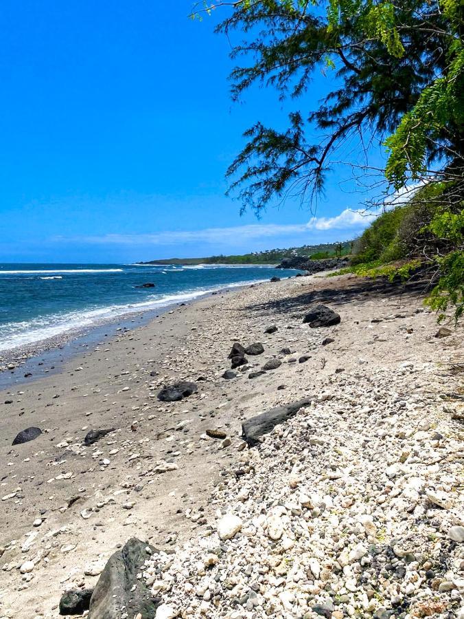 Le Petrel Bleu - Appartement Sur La Plage Des Tortues A Saint-Leu Kültér fotó