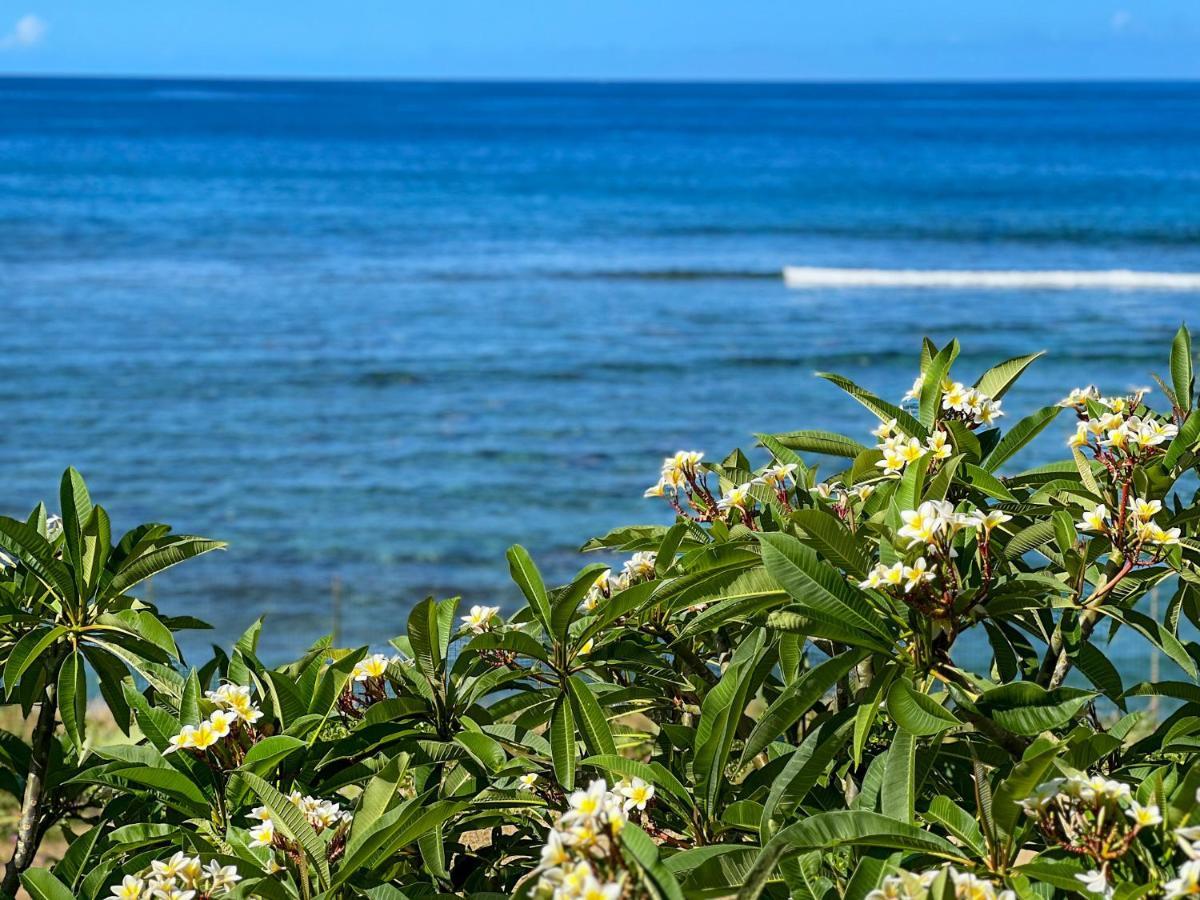 Le Petrel Bleu - Appartement Sur La Plage Des Tortues A Saint-Leu Kültér fotó