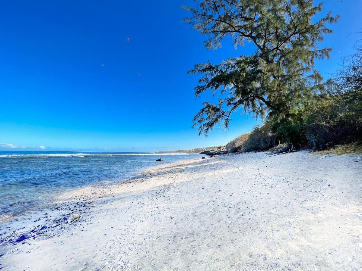 Le Petrel Bleu - Appartement Sur La Plage Des Tortues A Saint-Leu Kültér fotó
